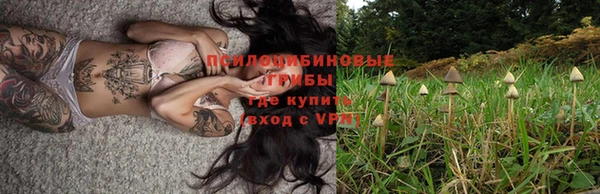 дурь Богородицк
