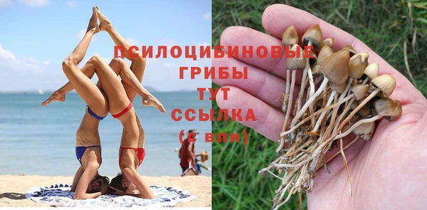 MDMA Premium VHQ Богородск
